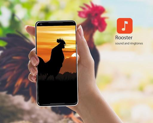 Rooster Sounds - عکس برنامه موبایلی اندروید