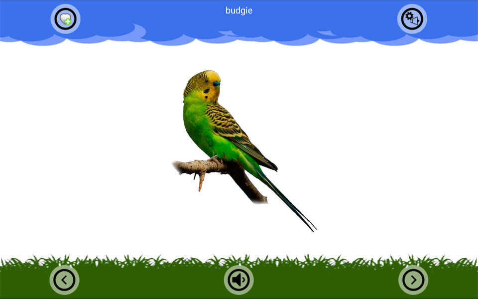 Animal Sounds and Ringtones - Image screenshot of android app