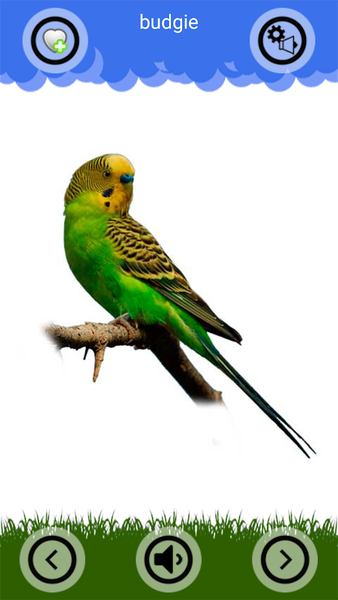 Animal Sounds and Ringtones - عکس برنامه موبایلی اندروید