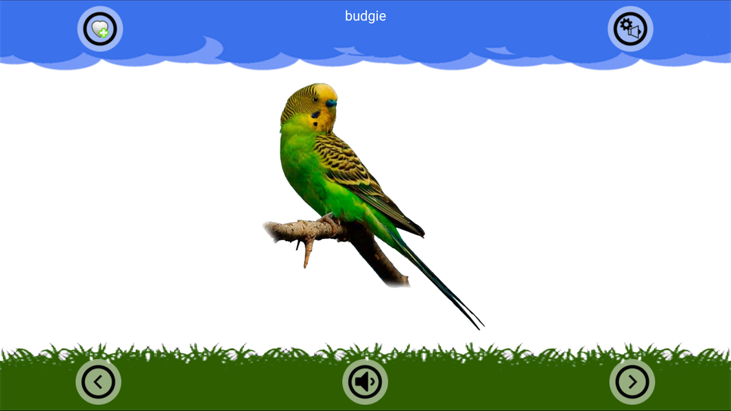 Animal Sounds and Ringtones - Image screenshot of android app