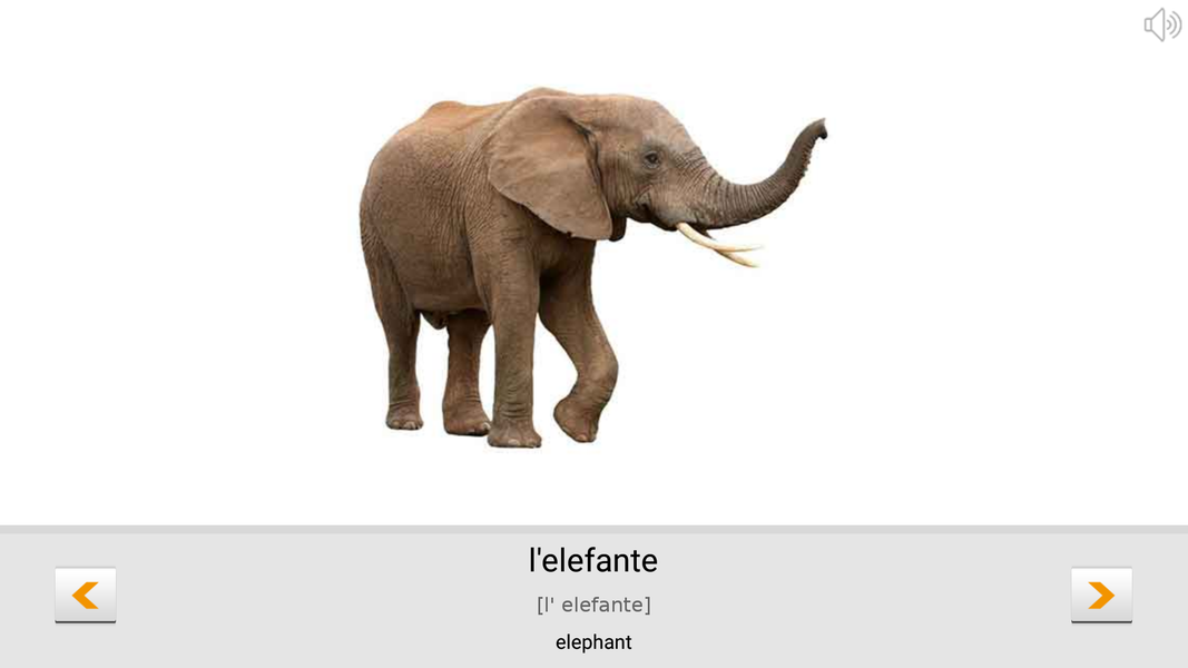 Learn Italian words with ST - عکس برنامه موبایلی اندروید