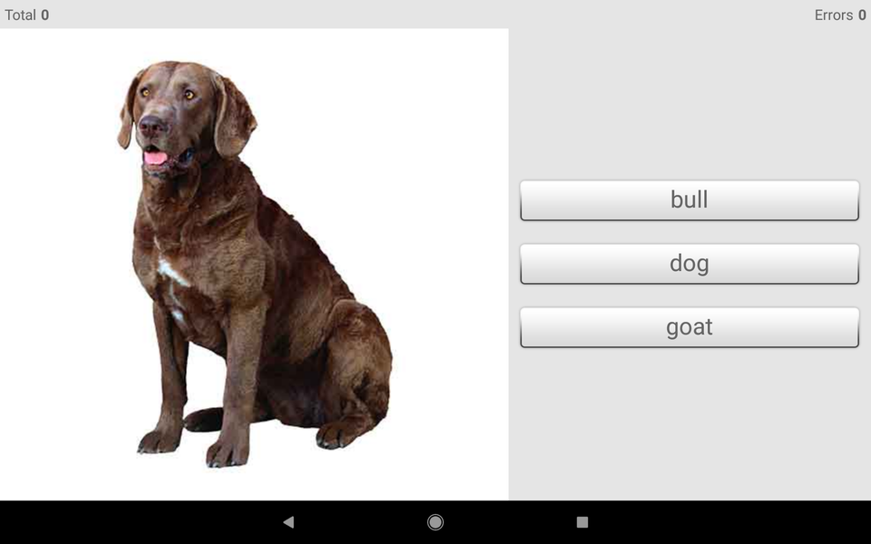 Learn foreign words with ST - Image screenshot of android app