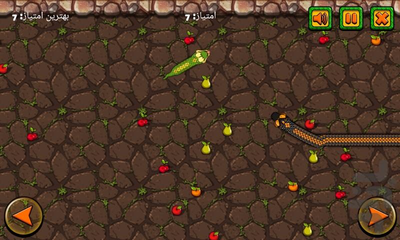 مار بازیگوش - عکس بازی موبایلی اندروید