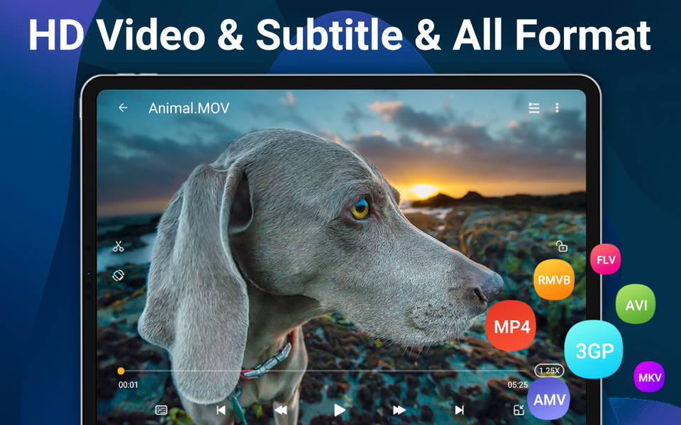HD Video Player All Format - عکس برنامه موبایلی اندروید