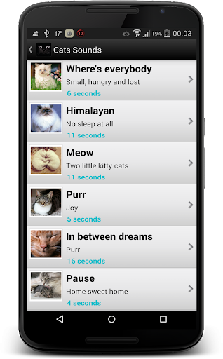 Cat Sounds - عکس برنامه موبایلی اندروید