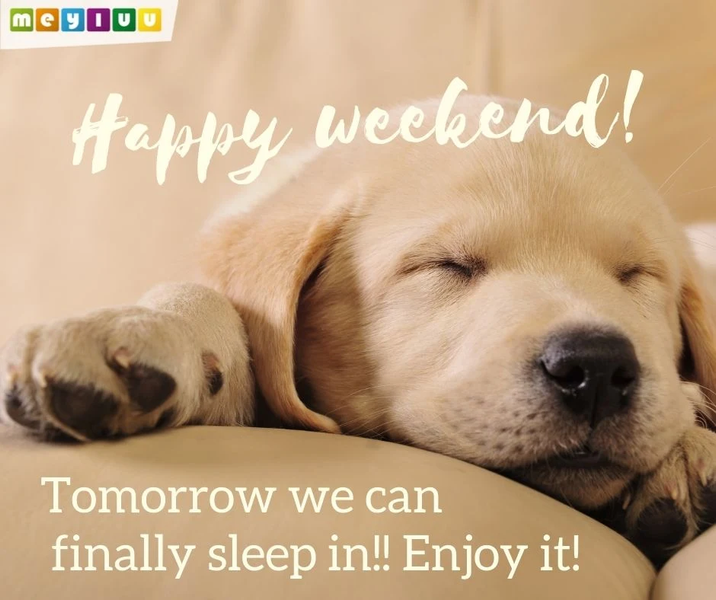 Wishes & Quotes of all kinds - Image screenshot of android app
