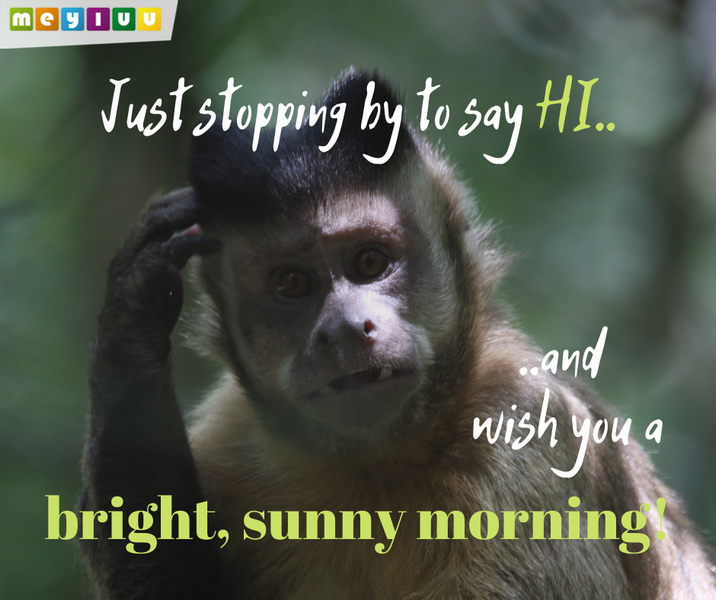 Wishes & Quotes of all kinds - Image screenshot of android app