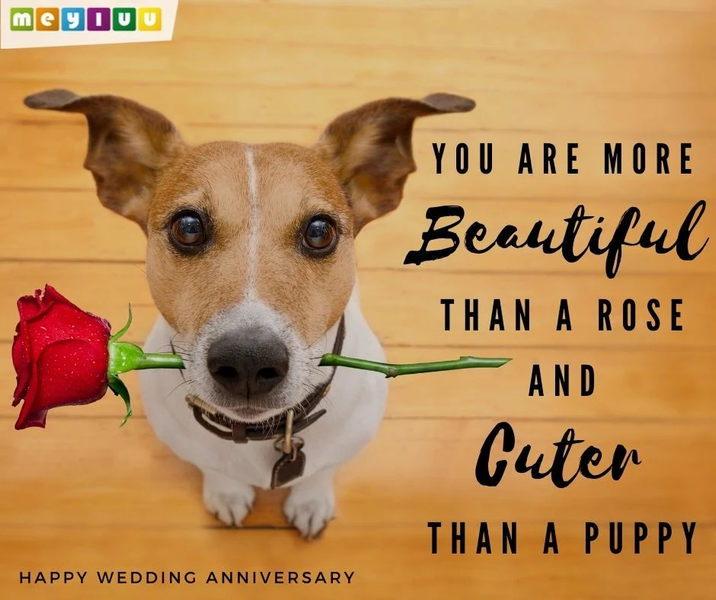 Wishes & Quotes of all kinds - Image screenshot of android app