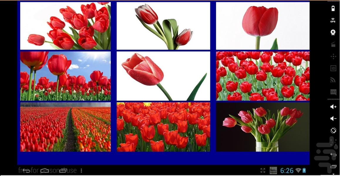 tulips - Gameplay image of android game