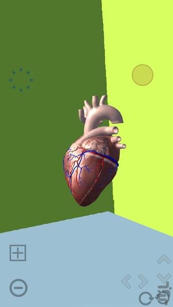 Anatomy of the human heart - Image screenshot of android app