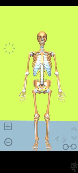 آناتومی آرترولوژی  و آنژیولوژی - عکس برنامه موبایلی اندروید