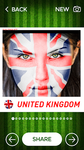 FlagFace - paint your Face - Image screenshot of android app