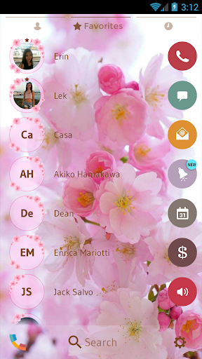 Theme Dialer Love Sakura - Image screenshot of android app