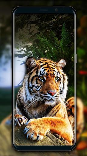 Tiger Live Wallpaper 2018 - Image screenshot of android app