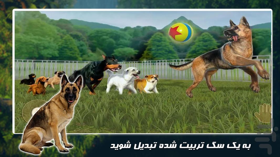 بازی جدید حیات وحش | سگ خانگی - Gameplay image of android game
