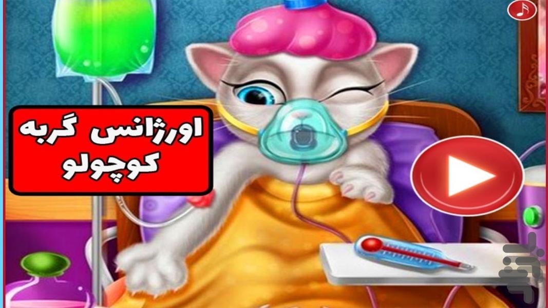 بازی اورژانس گربه کوچولو - Gameplay image of android game