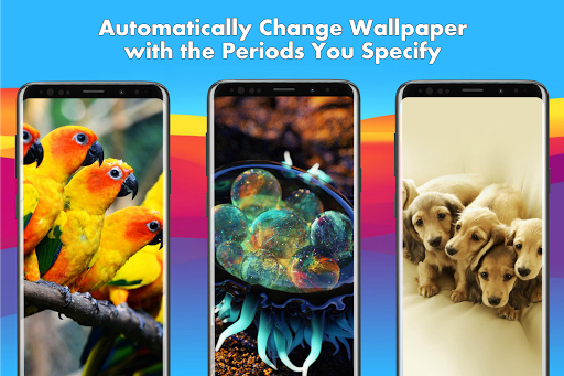 🐻 Animal Wallpapers HD | 4K Animal Backgrounds - عکس برنامه موبایلی اندروید