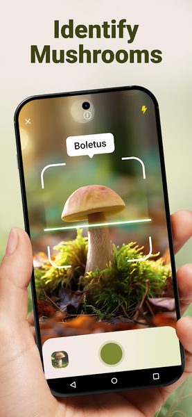 Mushroom ID - Fungi Identifier - Image screenshot of android app