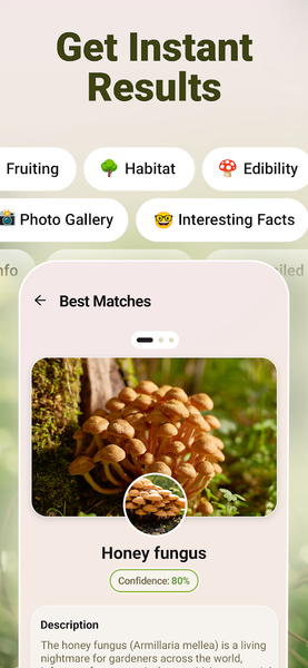 Mushroom ID - Fungi Identifier - عکس برنامه موبایلی اندروید