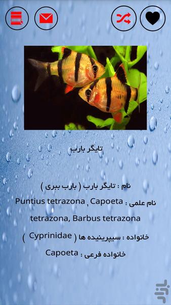 آکواریوم ماهیهای زینتی - عکس برنامه موبایلی اندروید
