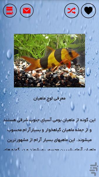 آکواریوم ماهیهای زینتی - عکس برنامه موبایلی اندروید