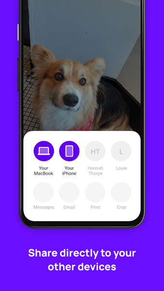 Blip (File Transfer) - Image screenshot of android app