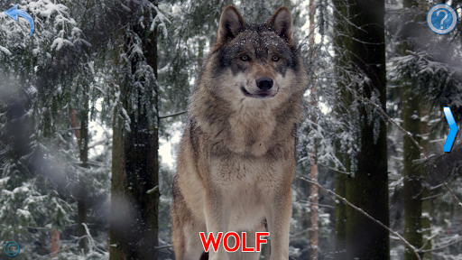 Animals for Kids - عکس بازی موبایلی اندروید