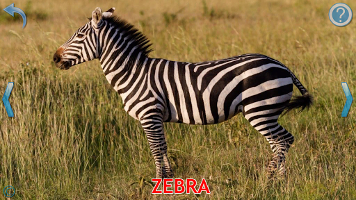 Animals for Kids - عکس بازی موبایلی اندروید