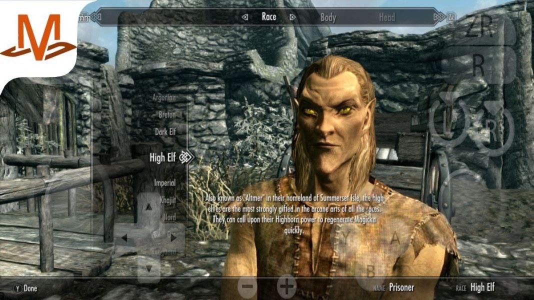 اسکایریم - Gameplay image of android game