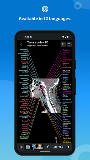 IMAIOS e-Anatomy - عکس برنامه موبایلی اندروید