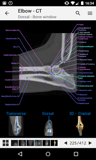 vet-Anatomy - Image screenshot of android app