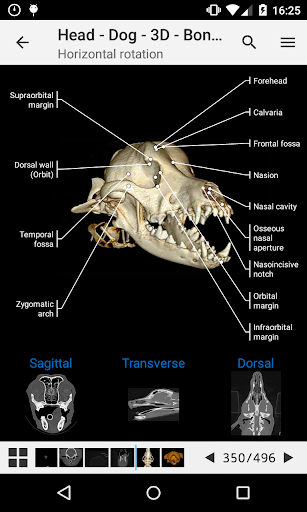 IMAIOS vet-Anatomy - عکس برنامه موبایلی اندروید