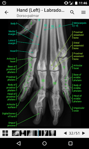 IMAIOS vet-Anatomy - عکس برنامه موبایلی اندروید
