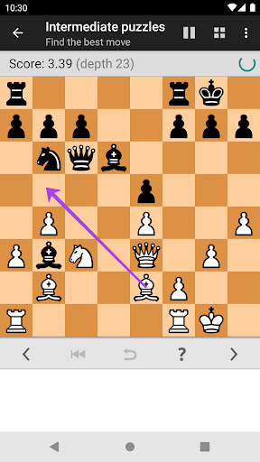 Chess Tactics Pro (Puzzles) - عکس بازی موبایلی اندروید