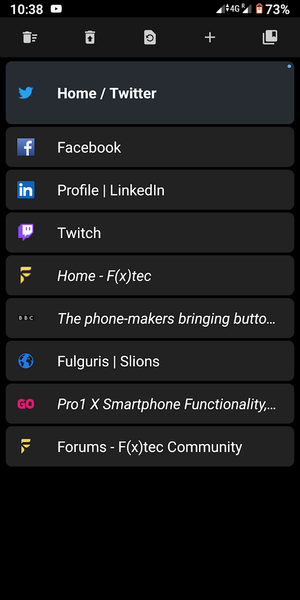 Fulguris Web Browser - Image screenshot of android app