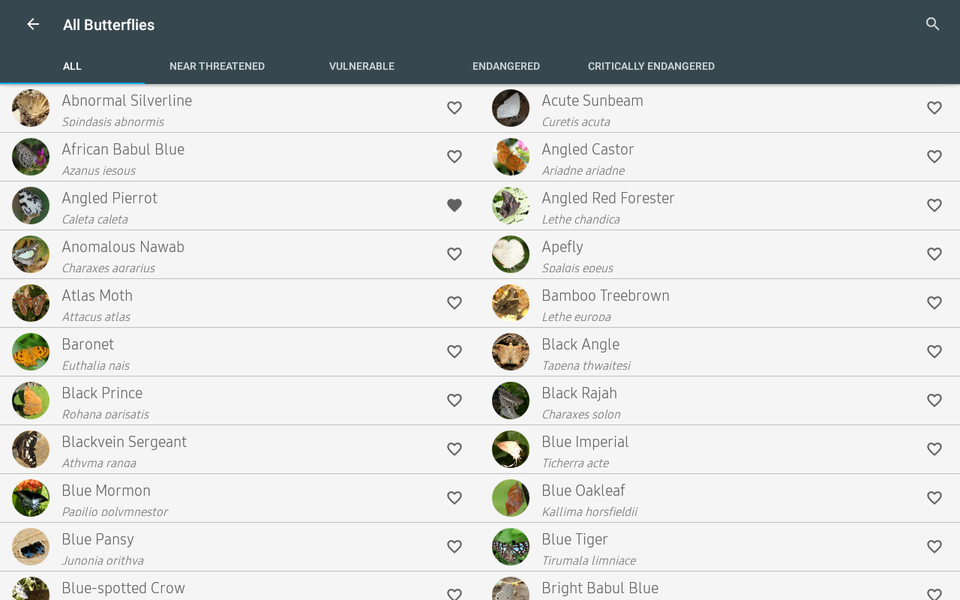 Indian Butterflies - عکس برنامه موبایلی اندروید