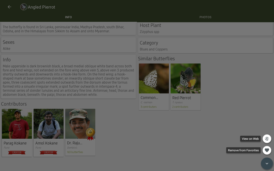 Indian Butterflies - عکس برنامه موبایلی اندروید