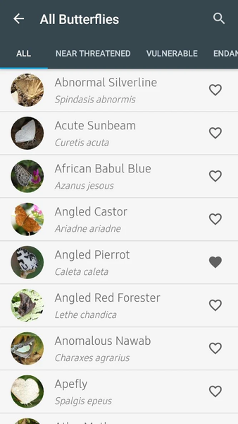 Indian Butterflies - عکس برنامه موبایلی اندروید