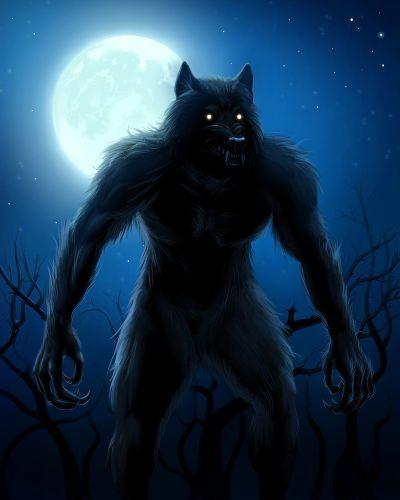 Werewolf Wallpaper - Image screenshot of android app