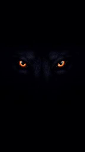 Wolf Wallpaper - Image screenshot of android app