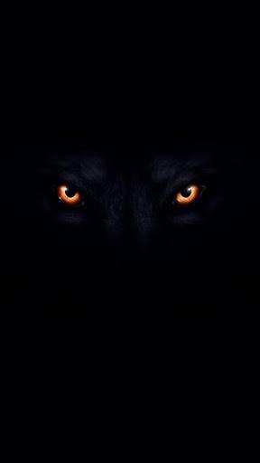 Wolf Wallpaper - عکس برنامه موبایلی اندروید