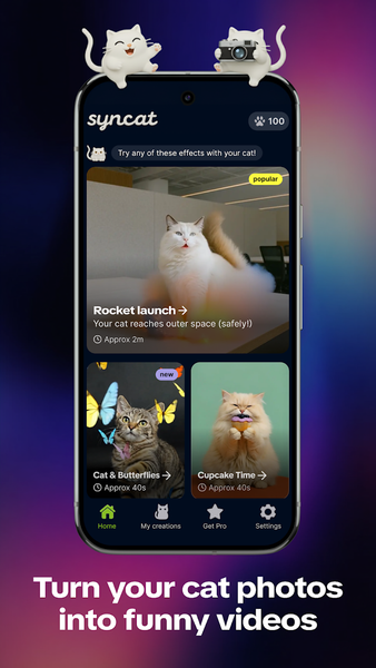 Syncat by Zedge: Funny Videos - عکس برنامه موبایلی اندروید