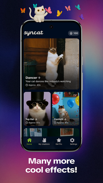 Syncat by Zedge: Funny Videos - عکس برنامه موبایلی اندروید
