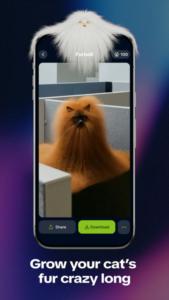 Syncat by Zedge: Funny Videos - عکس برنامه موبایلی اندروید