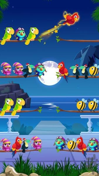 Sort Bird Puzzle - Gameplay image of android game
