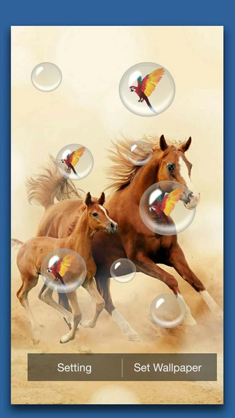 Horses Live Wallpaper - عکس برنامه موبایلی اندروید
