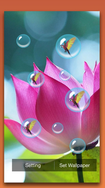Lotus Live Wallpaper - عکس برنامه موبایلی اندروید