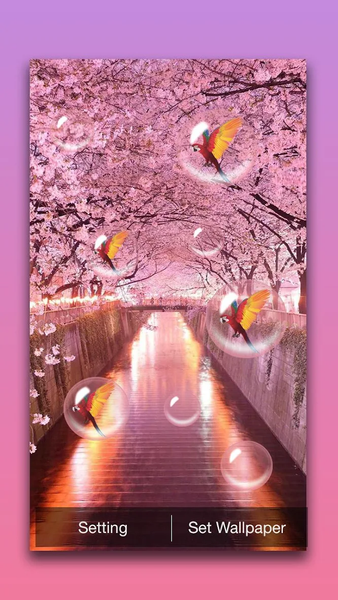 Sakura Live Wallpaper - عکس برنامه موبایلی اندروید