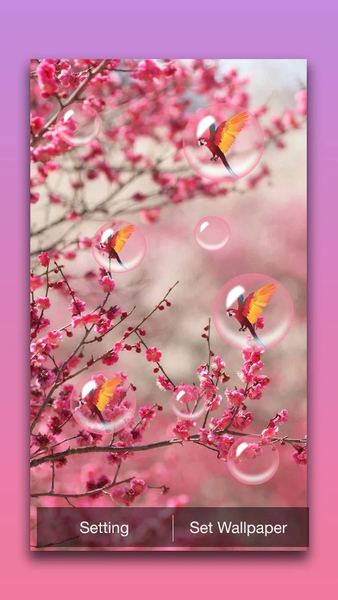 Sakura Live Wallpaper - عکس برنامه موبایلی اندروید