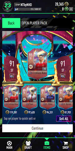 NHDFUT 23 Draft & Packs - Gameplay image of android game